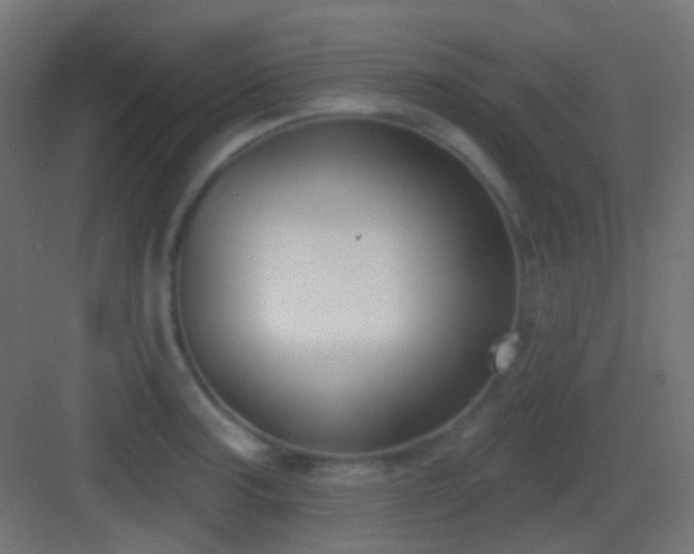 X0000083531187200702090958