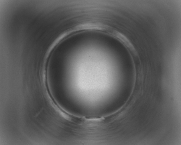 X0000083531188200702090958