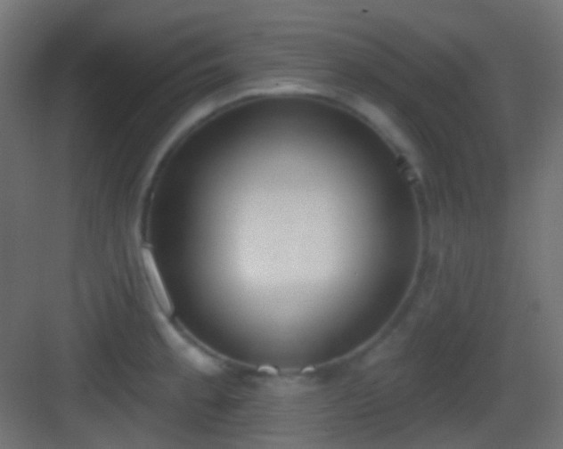 X0000083531189200702090958