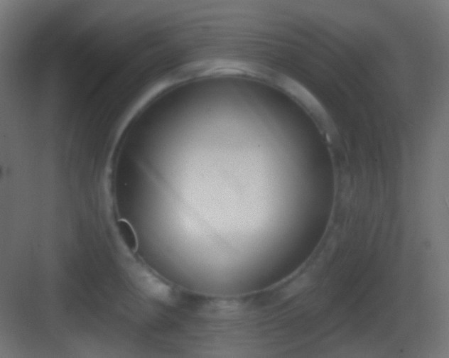 X0000083531190200702090958