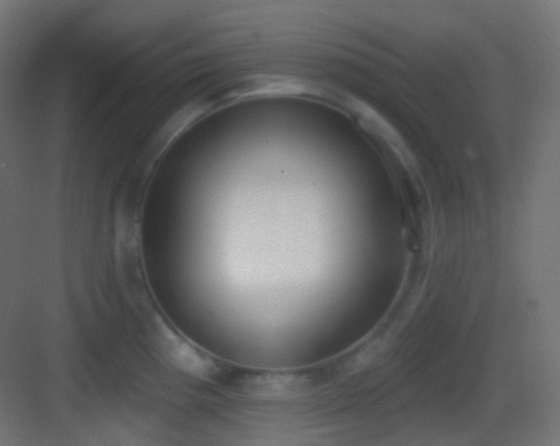 X0000083531193200702090958