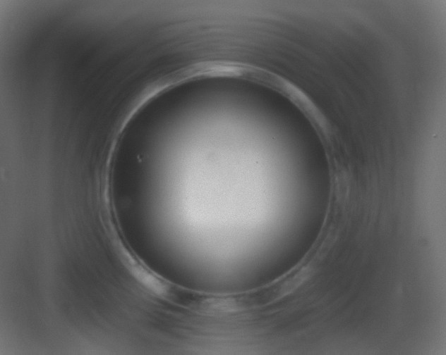 X0000083531194200702090958
