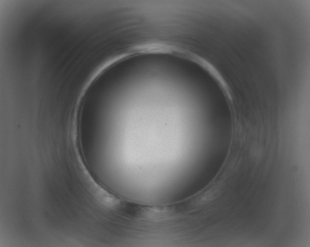 X0000083531195200702090958