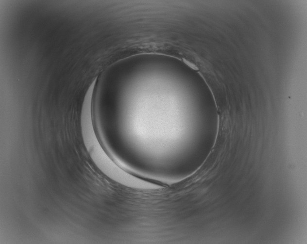 X0000083531202200702090957