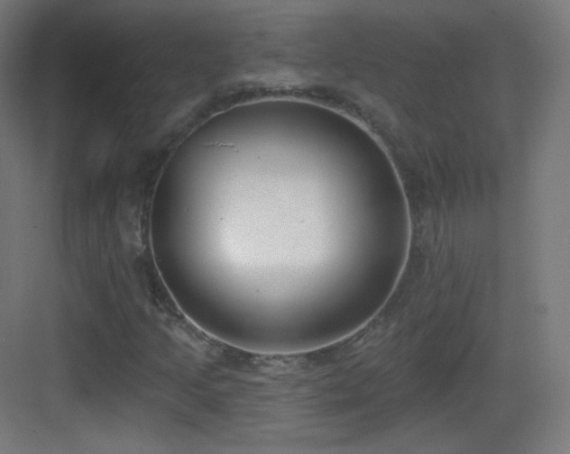 X0000083531205200702090957