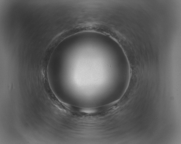 X0000083531206200702090957