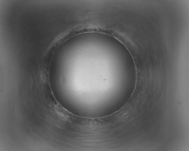 X0000083531207200702090957