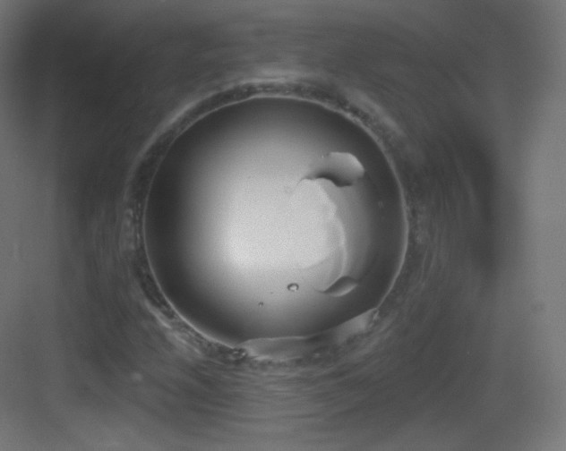 X0000083531208200702090957