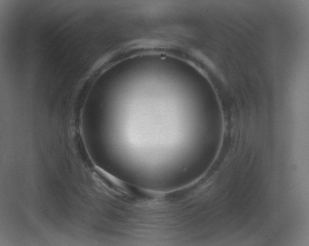 X0000083531213200702090957