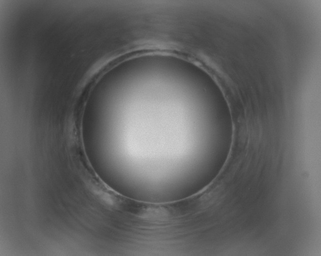 X0000083531215200702090957