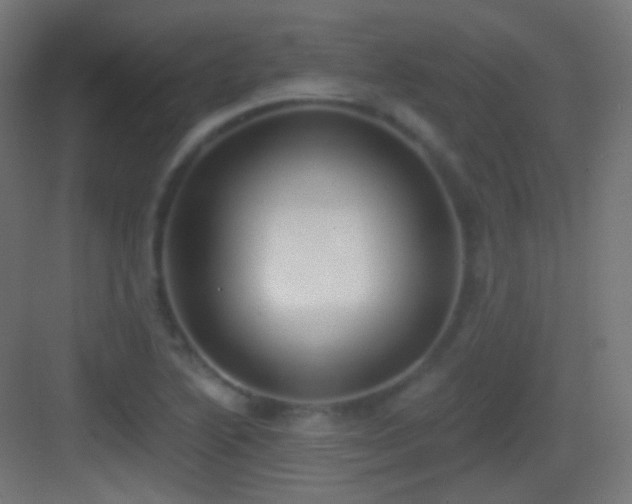 X0000083531222200702090958