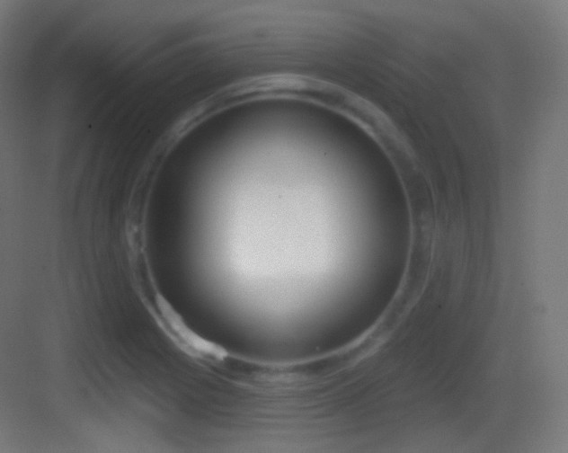 X0000083531225200702090958
