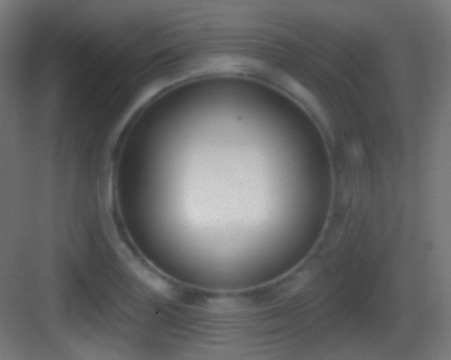 X0000083531227200702090958
