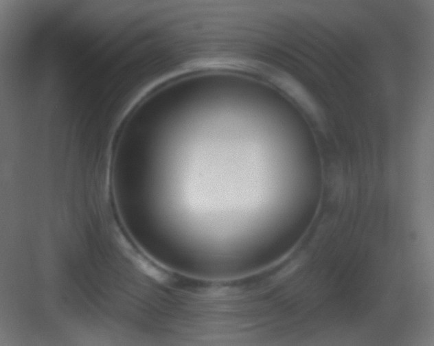 X0000083531228200702090958
