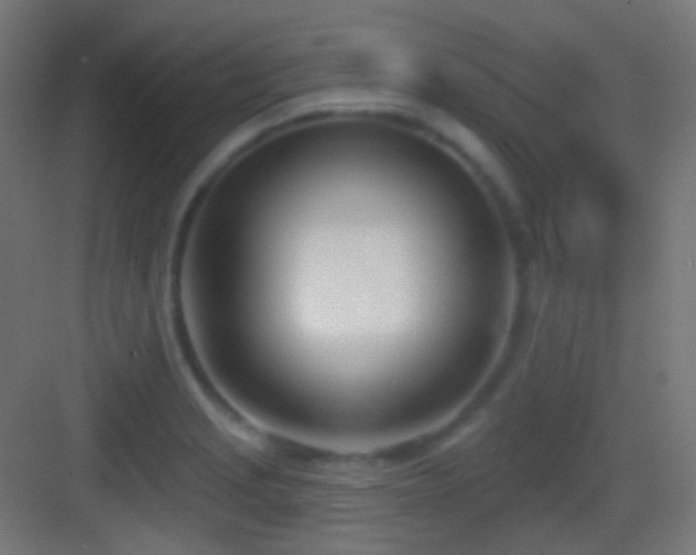 X0000083531229200702090958