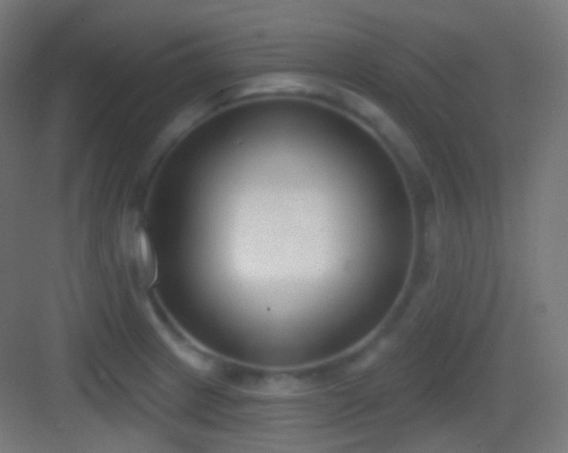 X0000083531233200702090958
