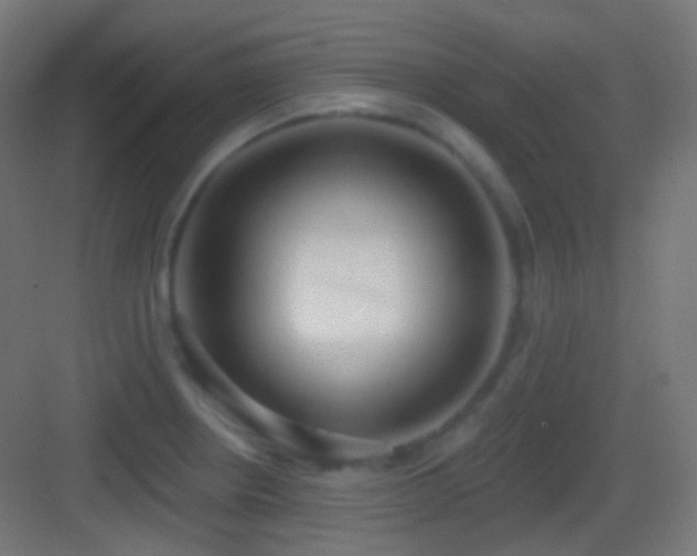 X0000083531234200702090958