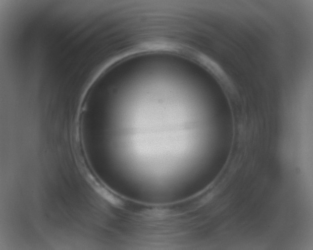 X0000083531236200702090958