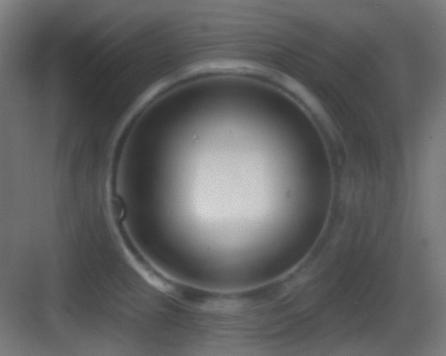 X0000083531237200702090958
