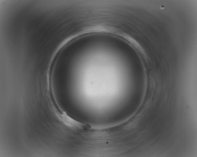 X0000083531238200702090958