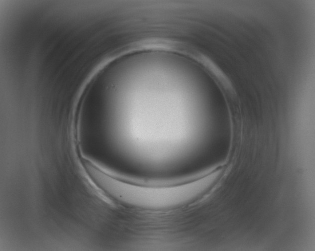 X0000083531240200702090958