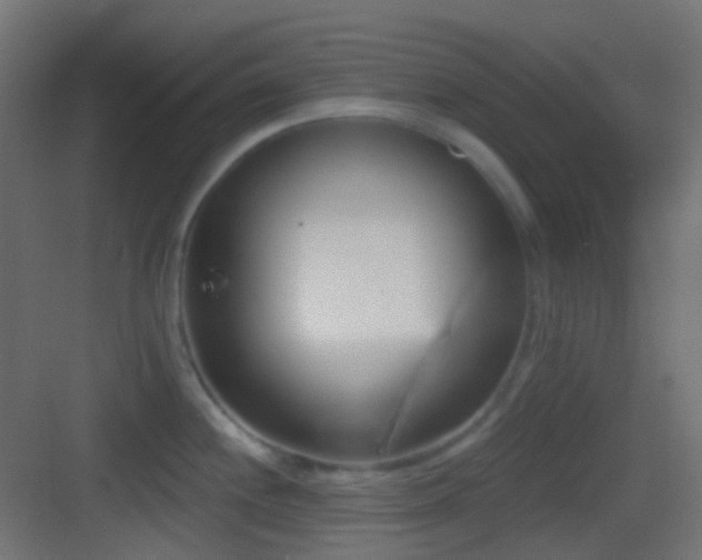 X0000083531244200702090958
