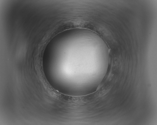 X0000083531249200702090957