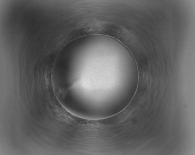 X0000083531250200702090957