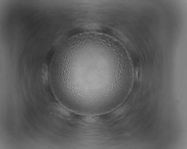 X0000083531251200702090957