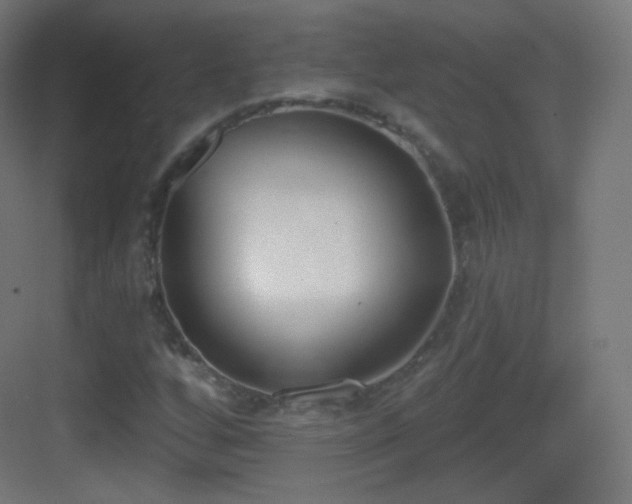 X0000083531256200702090957