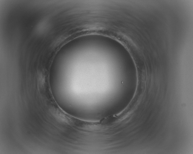 X0000083531257200702090957