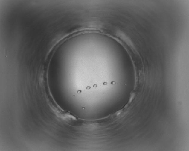 X0000083531260200702090957