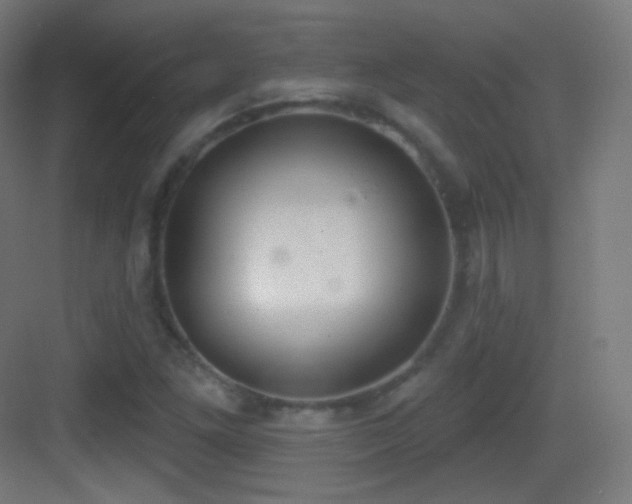 X0000083531261200702090957