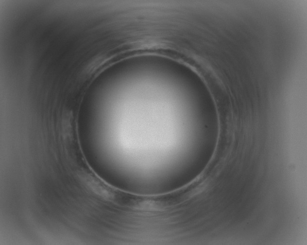 X0000083531265200702090957