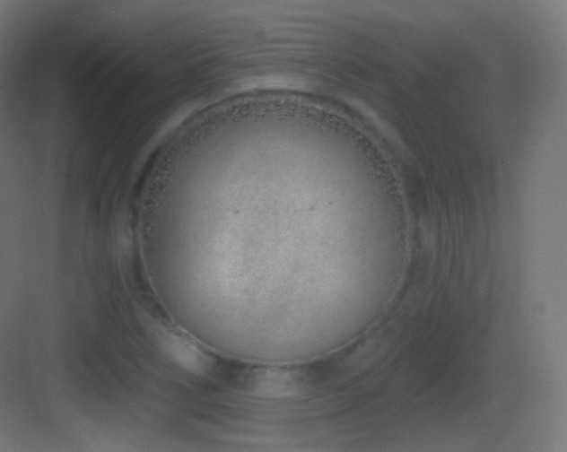 X0000083531266200702090957