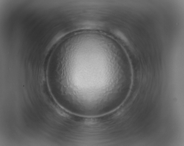 X0000083531267200702090957