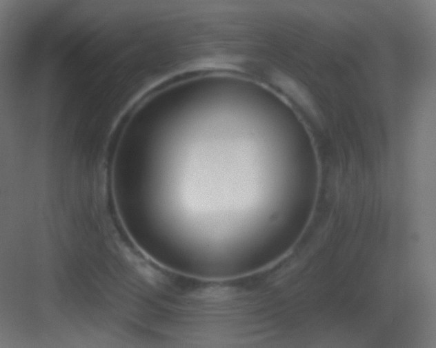 X0000083531268200702090957