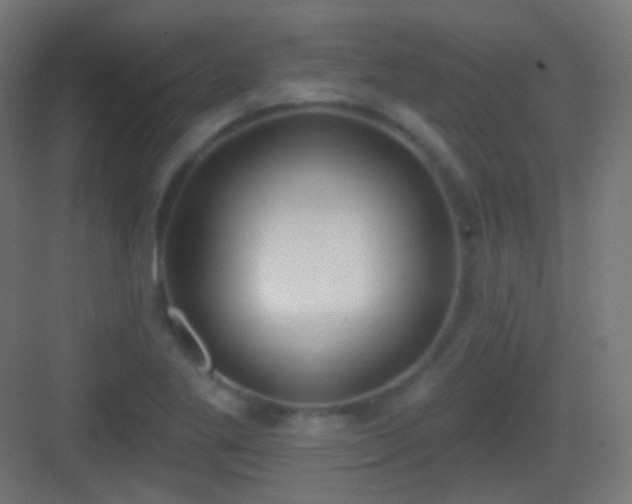 X0000083531269200702090957