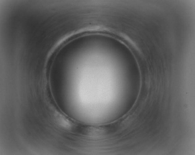 X0000083531270200702090957