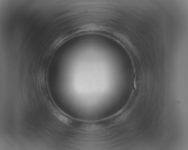 X0000083531273200702090957