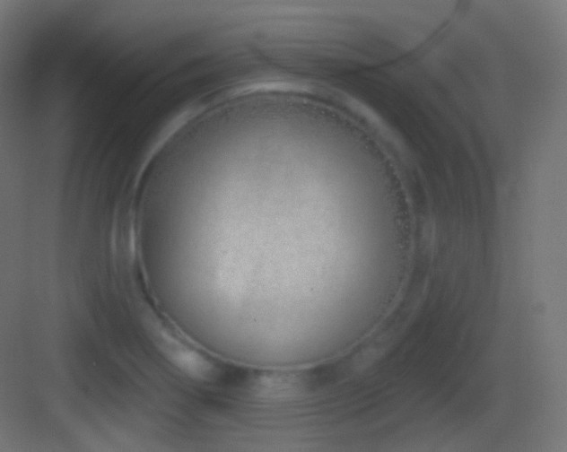X0000083531274200702090957