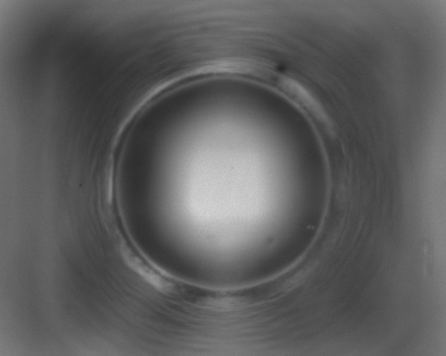 X0000083531276200702090957