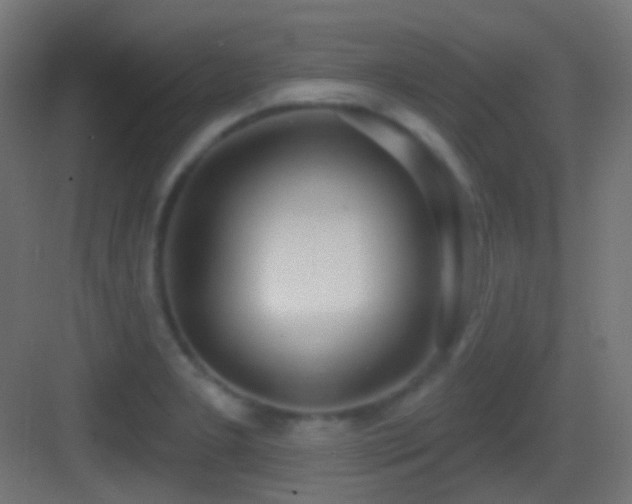 X0000083531277200702090957