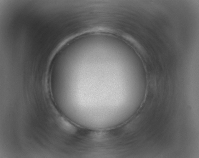 X0000083531278200702090957