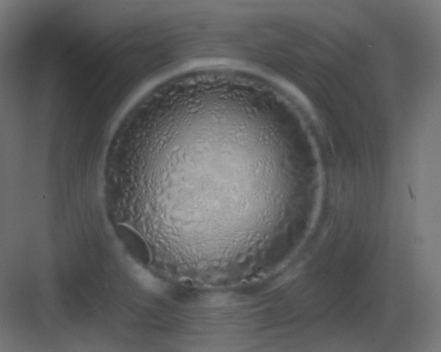 X0000083531279200702090957