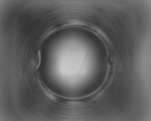 X0000083531281200702090957