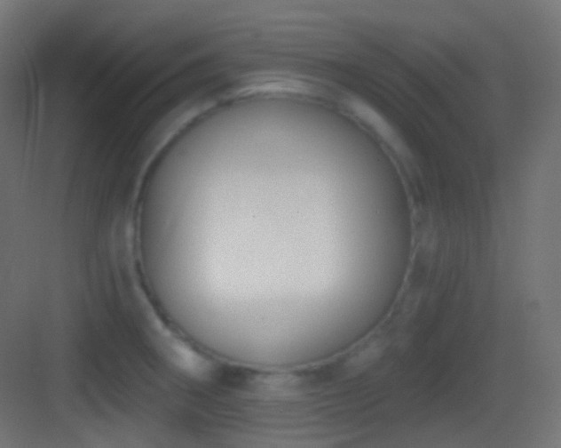 X0000083531282200702090957