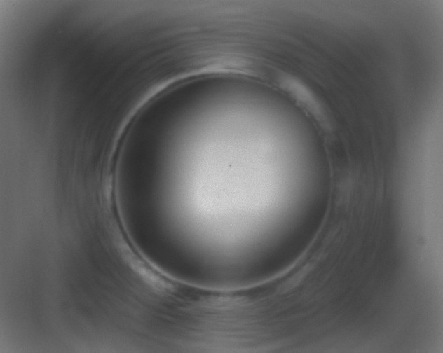 X0000083531284200702090957