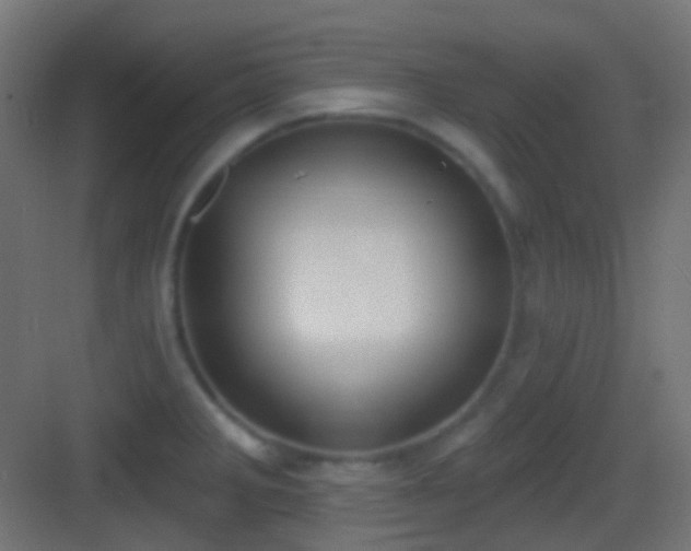 X0000083531285200702090957