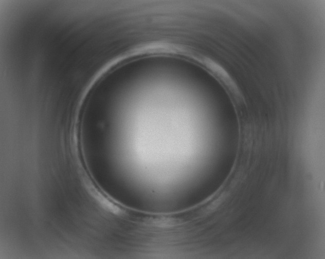 X0000083531288200702090957